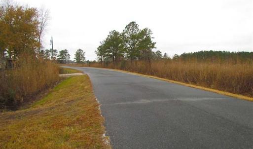 Photo of SOLD!!  10 Acres of Hunting For Sale in Accomack County VA!