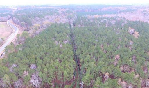 Photo of SOLD!!  10 Acres of Hunting For Sale in Accomack County VA!
