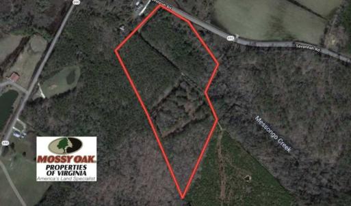 Photo of SOLD!!  10 Acres of Hunting For Sale in Accomack County VA!