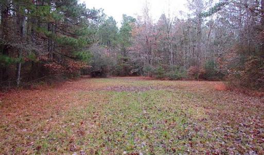 Photo of SOLD!!  10 Acres of Hunting For Sale in Accomack County VA!