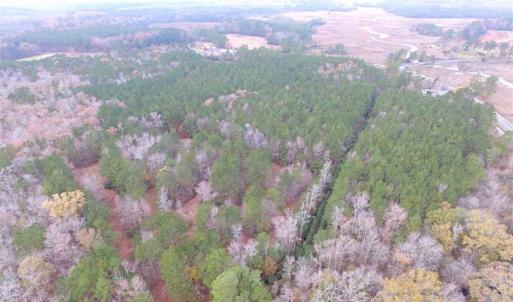 Photo of SOLD!!  10 Acres of Hunting For Sale in Accomack County VA!