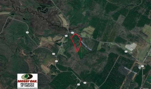 Photo of SOLD!!  10 Acres of Hunting For Sale in Accomack County VA!