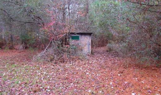 Photo of SOLD!!  10 Acres of Hunting For Sale in Accomack County VA!