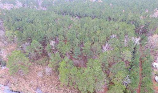 Photo of SOLD!!  10 Acres of Hunting For Sale in Accomack County VA!