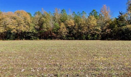 Photo of SOLD!!  8.6 Acres of Farm and Timber Land For Sale in Cumberland County NC!