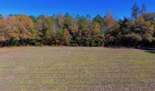 Photo of SOLD!!  8.6 Acres of Farm and Timber Land For Sale in Cumberland County NC!