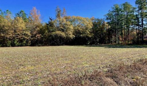 Photo of SOLD!!  8.6 Acres of Farm and Timber Land For Sale in Cumberland County NC!