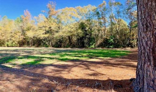 Photo of SOLD!!  8.6 Acres of Farm and Timber Land For Sale in Cumberland County NC!
