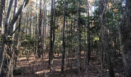 Photo of SOLD!!  6.64 Acres of Residential Land with Home For Sale in Brunswick County VA!