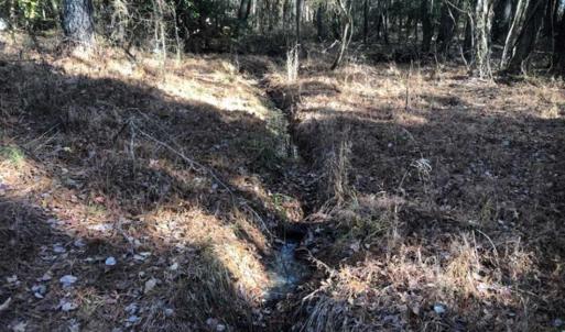 Photo of SOLD!!  6.64 Acres of Residential Land with Home For Sale in Brunswick County VA!