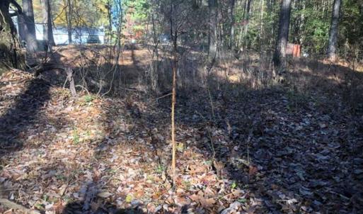 Photo of SOLD!!  6.64 Acres of Residential Land with Home For Sale in Brunswick County VA!