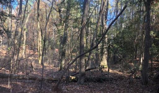 Photo of SOLD!!  6.64 Acres of Residential Land with Home For Sale in Brunswick County VA!