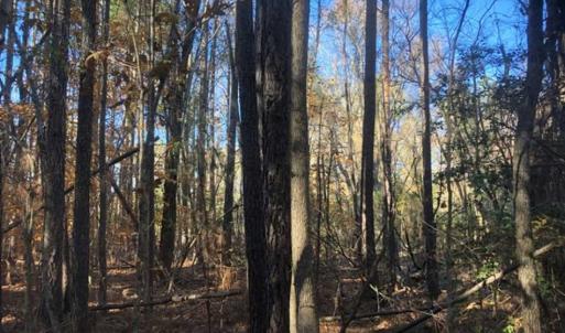 Photo of SOLD!!  6.64 Acres of Residential Land with Home For Sale in Brunswick County VA!