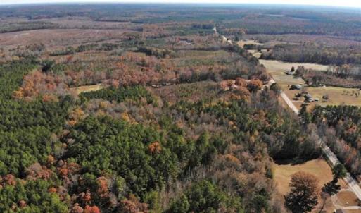 Photo of REDUCED!  10.33 Acres of Hunting Land For Sale in Dinwiddie County VA!