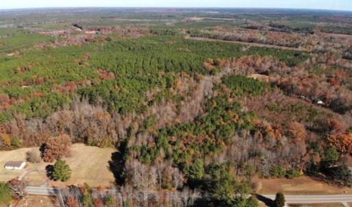 Photo of REDUCED!  10.33 Acres of Hunting Land For Sale in Dinwiddie County VA!