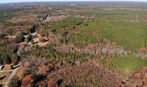 Photo of REDUCED!  10.33 Acres of Hunting Land For Sale in Dinwiddie County VA!