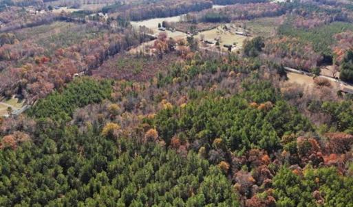 Photo of REDUCED!  10.33 Acres of Hunting Land For Sale in Dinwiddie County VA!