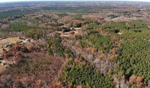 Photo of REDUCED!  10.33 Acres of Hunting Land For Sale in Dinwiddie County VA!