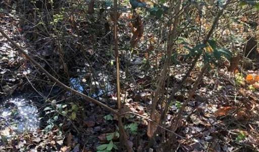 Photo of REDUCED!  10.33 Acres of Hunting Land For Sale in Dinwiddie County VA!