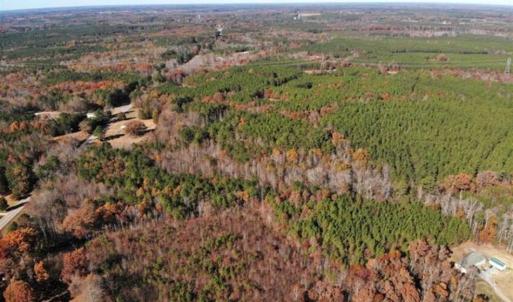 Photo of REDUCED!  10.33 Acres of Hunting Land For Sale in Dinwiddie County VA!
