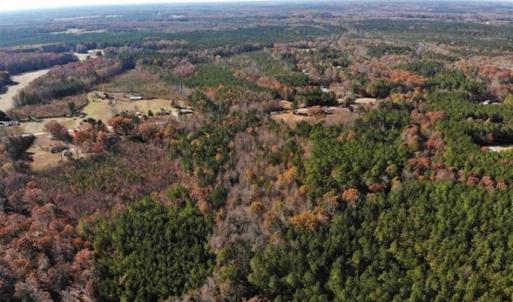 Photo of REDUCED!  10.33 Acres of Hunting Land For Sale in Dinwiddie County VA!