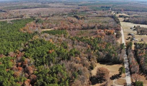 Photo of REDUCED!  10.33 Acres of Hunting Land For Sale in Dinwiddie County VA!