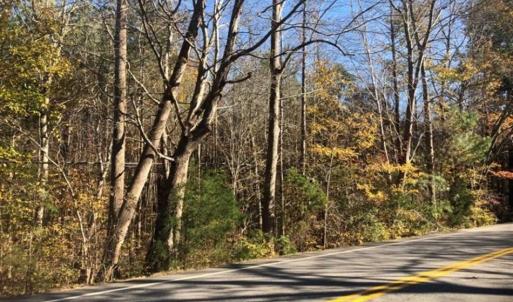 Photo of REDUCED!  10.33 Acres of Hunting Land For Sale in Dinwiddie County VA!