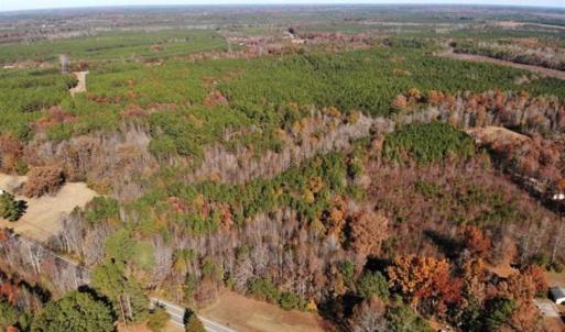 Photo of REDUCED!  10.33 Acres of Hunting Land For Sale in Dinwiddie County VA!