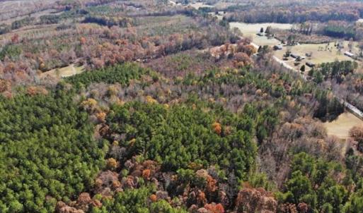 Photo of REDUCED!  10.33 Acres of Hunting Land For Sale in Dinwiddie County VA!