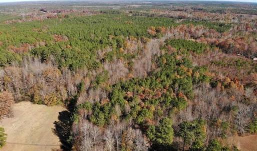 Photo of REDUCED!  10.33 Acres of Hunting Land For Sale in Dinwiddie County VA!