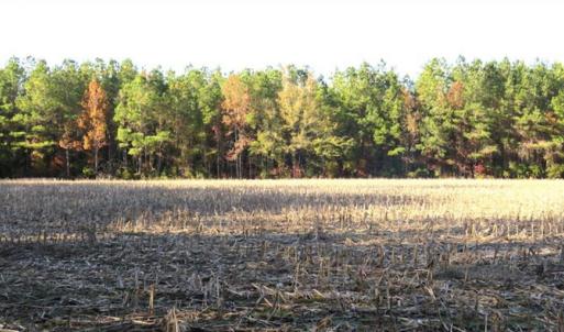 Photo of SOLD!!  40 Acres of Farm and Timber Land For Sale in Columbus County NC!