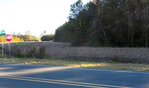 Photo of SOLD!!  40 Acres of Farm and Timber Land For Sale in Columbus County NC!