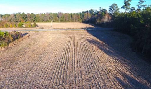 Photo of SOLD!!  40 Acres of Farm and Timber Land For Sale in Columbus County NC!