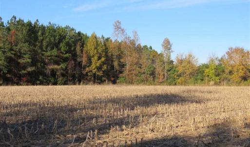 Photo of SOLD!!  40 Acres of Farm and Timber Land For Sale in Columbus County NC!