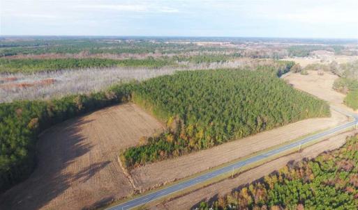 Photo of SOLD!!  40 Acres of Farm and Timber Land For Sale in Columbus County NC!