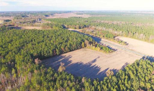 Photo of SOLD!!  40 Acres of Farm and Timber Land For Sale in Columbus County NC!