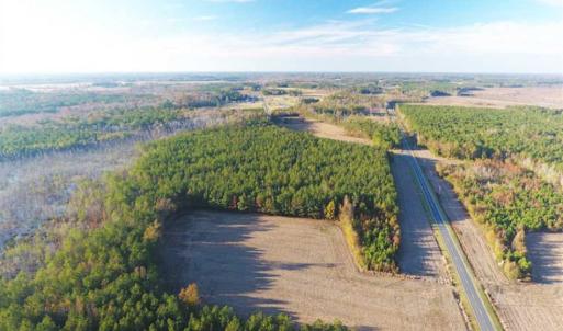 Photo of SOLD!!  40 Acres of Farm and Timber Land For Sale in Columbus County NC!