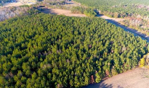 Photo of SOLD!!  40 Acres of Farm and Timber Land For Sale in Columbus County NC!