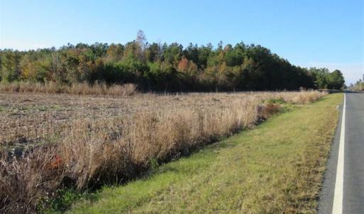 Photo of SOLD!!  40 Acres of Farm and Timber Land For Sale in Columbus County NC!