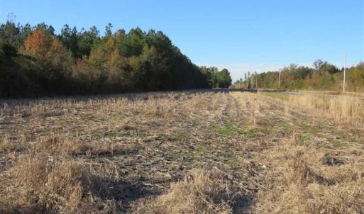 Photo of SOLD!!  40 Acres of Farm and Timber Land For Sale in Columbus County NC!