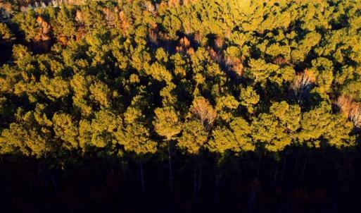 Photo of SOLD!!  7 Acres of Residential Land For Sale in Bladen County NC!