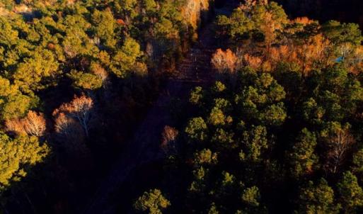 Photo of SOLD!!  7 Acres of Residential Land For Sale in Bladen County NC!