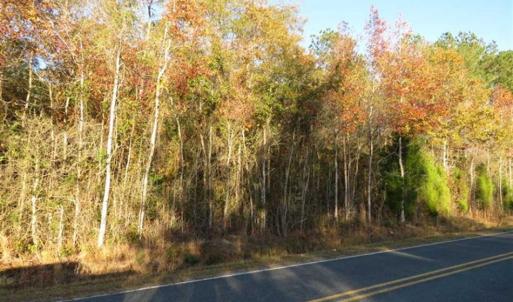 Photo of SOLD!!  7 Acres of Residential Land For Sale in Bladen County NC!