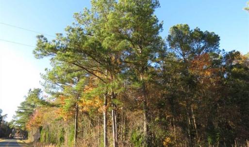 Photo of SOLD!!  7 Acres of Residential Land For Sale in Bladen County NC!