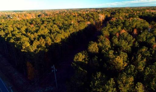 Photo of SOLD!!  7 Acres of Residential Land For Sale in Bladen County NC!
