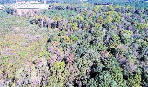Photo of SOLD!!  44 Acres of Farm and Timber Land For Sale in Pitt County NC!