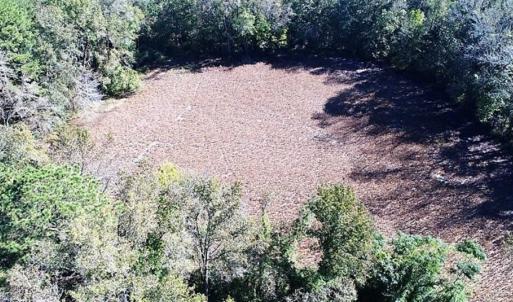 Photo of SOLD!!  44 Acres of Farm and Timber Land For Sale in Pitt County NC!