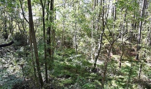 Photo of SOLD!!  44 Acres of Farm and Timber Land For Sale in Pitt County NC!