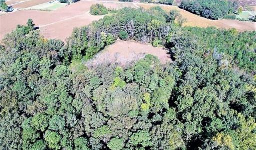 Photo of SOLD!!  44 Acres of Farm and Timber Land For Sale in Pitt County NC!