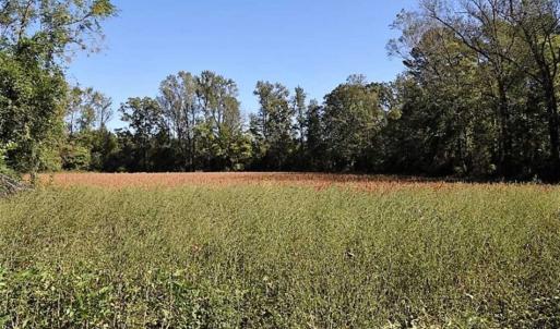 Photo of SOLD!!  44 Acres of Farm and Timber Land For Sale in Pitt County NC!